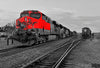 DM10847