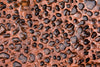 D67130