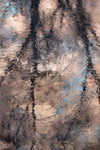 D67145