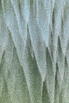 D67243